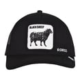 thumbnail image 1 of Gorra K-Swiss Borrego Color Negro, 1 of 3