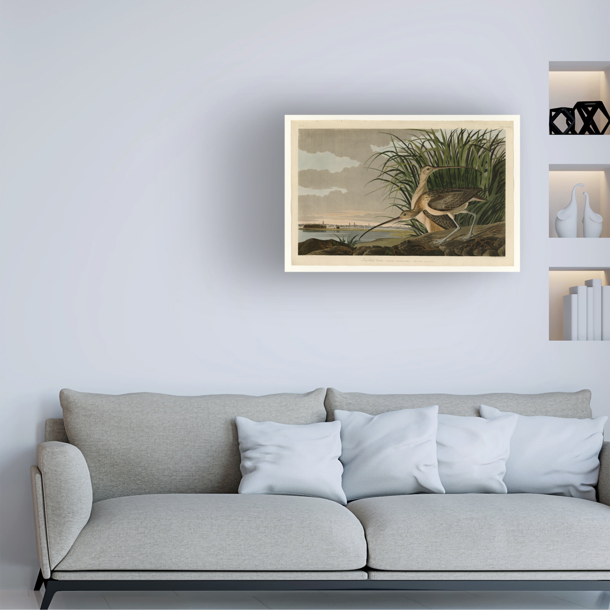 John James Audubon 'Long Billed Curlew' Canvas Art