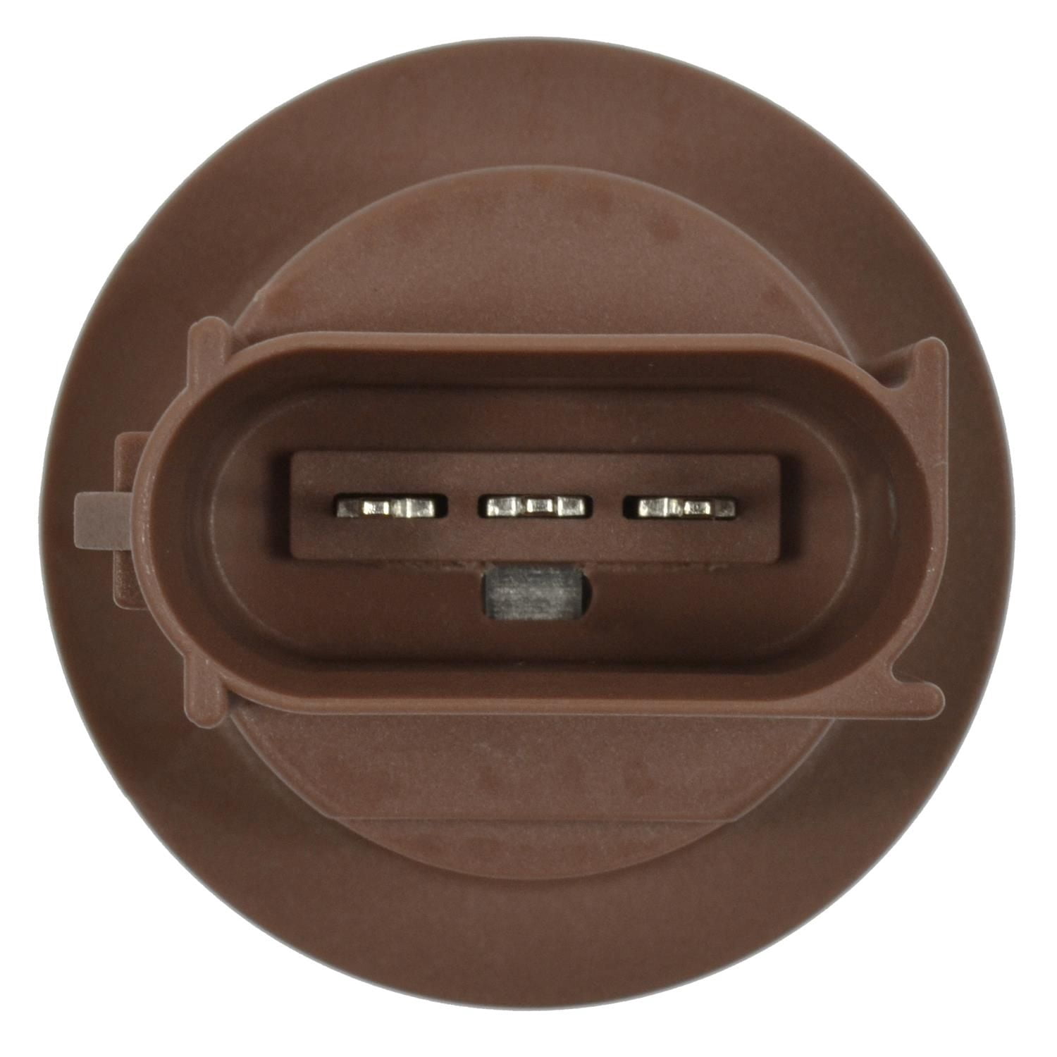 Standard Lamp Socket, #S-874