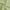 Light Sage Green, variant on XWZO Jacquard Tablecloth for Kitchen,  Textured Rectangular Dining-Waterproof Wrinkle-Abrasion Resistant Table Cloth Cover for Wedding, Outdoor Picnic, Parties, 52 x 70, Light Sage Green