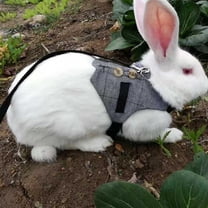 Rabbit Leash,Escape Proof Rabbit Harness,Soft Rabbit Breathable Harness with Leash Gentlemanly Style