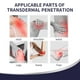 thumbnail image 5 of 30ml Dolor en las articulaciones Mialgia Esguince Cintura Spray Strain Artritis Tratamiento Cintura trasera Ndcxsfigh Cuidado Belleza, 5 of 8