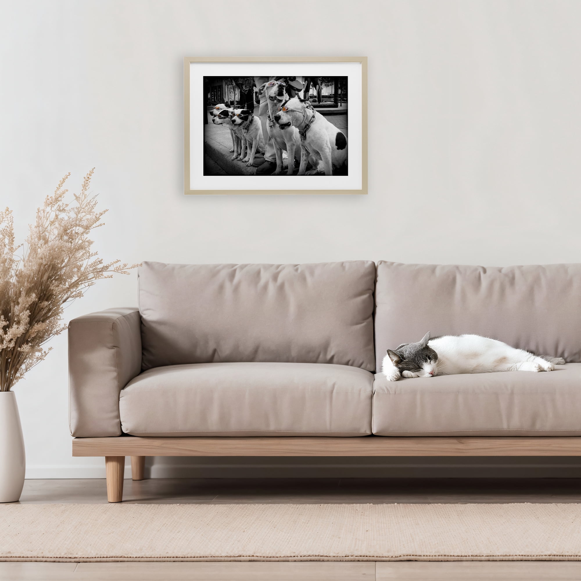 Stupell Industries Afternoon Stroll Pups Birch Framed Print Under Glass, design by Scott Henderson