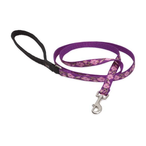 LupinePet Originals 1/2" Rose Garden 6-Foot Padded Handle Leash for Small Pets