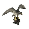 thumbnail image 4 of BIRDS ANIMALS FIGURES - Peregrine Falcon, 4 of 7