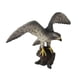 thumbnail image 4 of Figura de juguete de pájaro de simulación de ciencia y naturaleza de Proutoparts para el hogar Halcón peregrino, 4 of 7