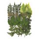thumbnail image 1 of Juego de Hojas Secas Ounissouiy Decoración del Hogar Tipo 2 Conjunto de Hojas Verdes, 1 of 6