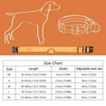 thumbnail image 3 of Dog Collar, Rechargeable USB LED Pet Dog Glow Collar, Adjustable Pet Collar, Night-Safety Flash Light-Up for Dog Collar, 3 of 7