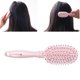 thumbnail image 3 of EeaseMX Peine de plástico portátil para el cabello, cepillo masajeador con bolsa de aire para mujer (184 x 45 mm, rosa), 3 of 7