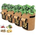 thumbnail image 1 of Perfect Planting Bag, 12 Liter Felt Bags Tomato Planting Bag, (5 Pieces), 1 of 4