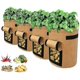 thumbnail image 1 of Perfect Planting Bag, 12 Liter Felt Bags Tomato Planting Bag, (5 Pieces), 1 of 4