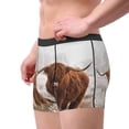 thumbnail image 4 of Balery Men'S Design Name Ultra Soft Performance Boxer Briefs-Size Name, 4 of 9