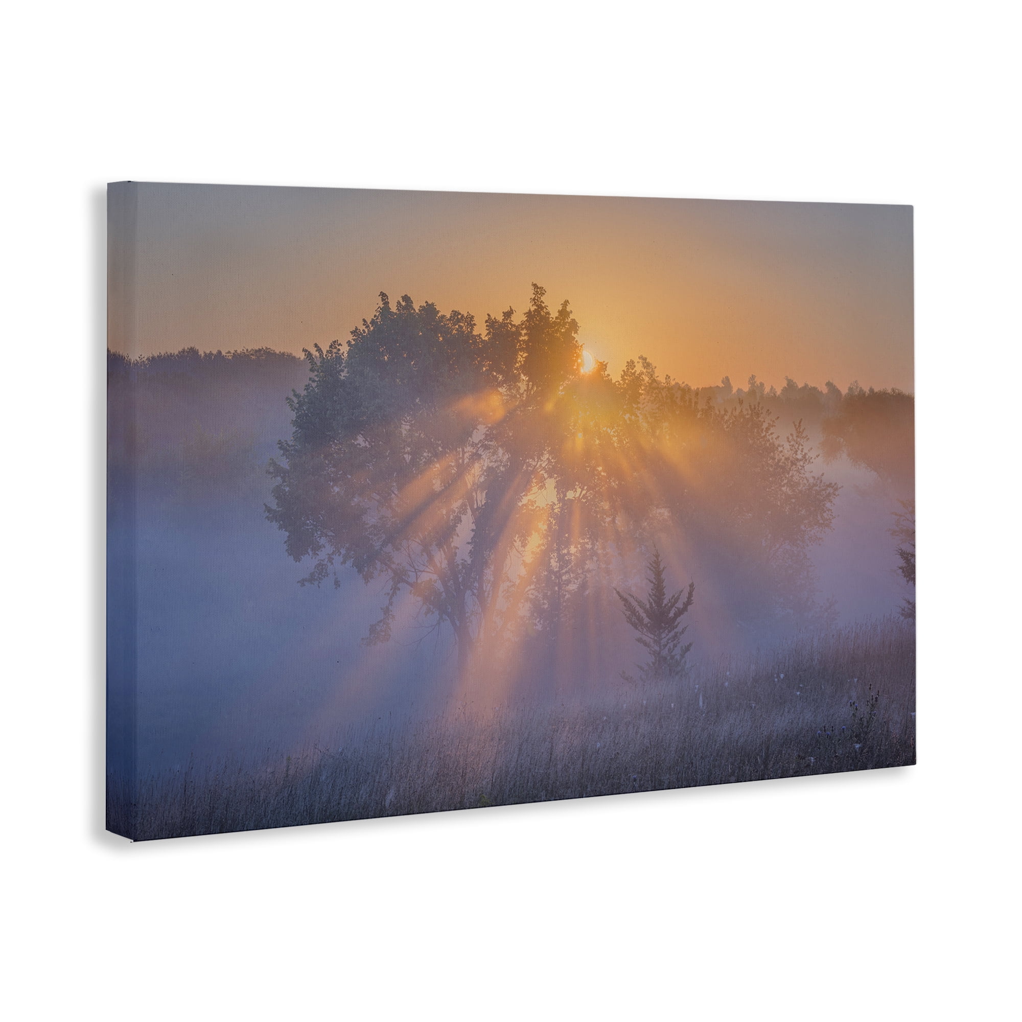Stupell Industries Sun Rays Peeking Landscape Landscape & Nature Photography Wrapped Canvas Art Print Wall Art, 45 x 30