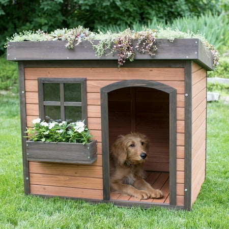 Boomer George Lucky Green Roof Dog House Boomer George Lucky Green Roof Dog House