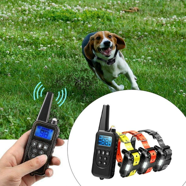 Training collar cheap walmart
