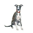 thumbnail image 2 of CafePress - Whippet #1 Mug - 11 oz Ceramic Mug - Novelty Coffee Tea Cup, 2 of 4