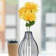 thumbnail image 5 of Hydroponic Flower Vase, Propagation Tube, Terrarium Glass Pot, Black Metal Body Table Vase 10 inch, 24 cm, 5 of 6