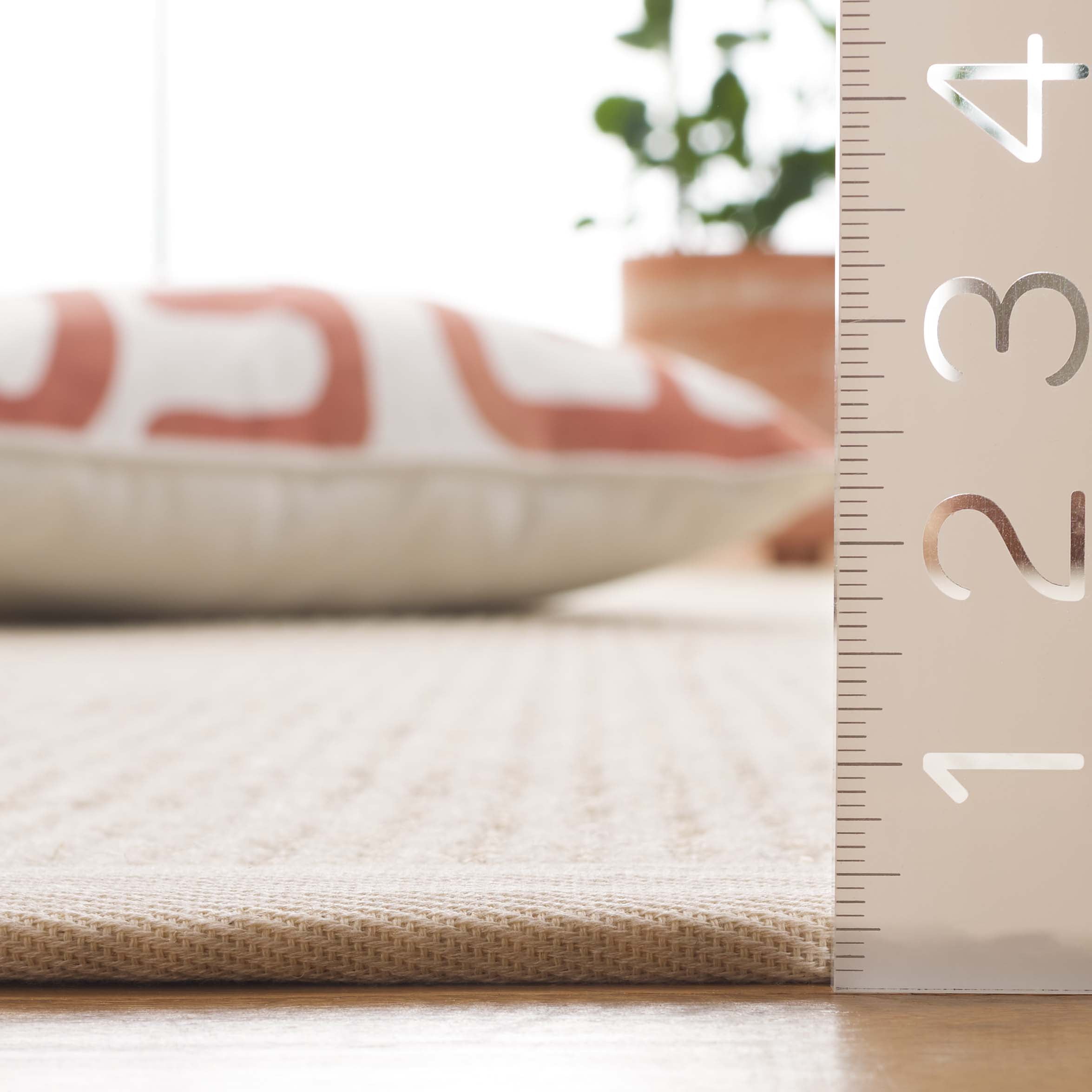 SAFAVIEH Palm Beach Sabrina Solid Area Rug, Ivory, 4' x 6'