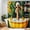 Color 2, variant on SPXUBZ Funny Monkey Sitting On Toilet Shower Curtain, 72 x 72 Inch Waterproof Fabric Bathroom Curtain with 12 Hooks, Durable Washable Bath Decor