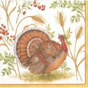 dinner napkins party supplies entertaining fall thanksgiving dinner decor harvest turkey pk 40