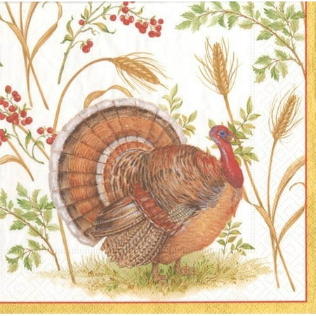 dinner napkins party supplies entertaining fall thanksgiving dinner decor harvest turkey pk 40