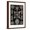 Brown Frame, variant on Art.com Spumellaria Art Print by Ernst Haeckel, 12" x 18"