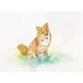 thumbnail image 2 of Dyer, Beverly 18x14 White Modern Wood Framed Museum Art Print Titled - Golden Fox, 2 of 4