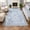 Blue, variant on Fnova Bow Floral 3x5 Pink Rug for Girls Bedroom, Soft Washable Nursery Living Room Area Rug, Boho Non-Slip Low Pile Indoor Carpet for Dorm Kids Playroom, Oeko-Tex Certified