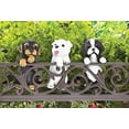 thumbnail image 2 of Climbing Cutie White Terrier &amp;#34;aspen&amp;#34; Pup, 2 of 2