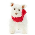 thumbnail image 4 of Vibrant Life Valentine's Pet Hoodie for Dogs, Conversation Hearts, Red, Extra Small, 4 of 10