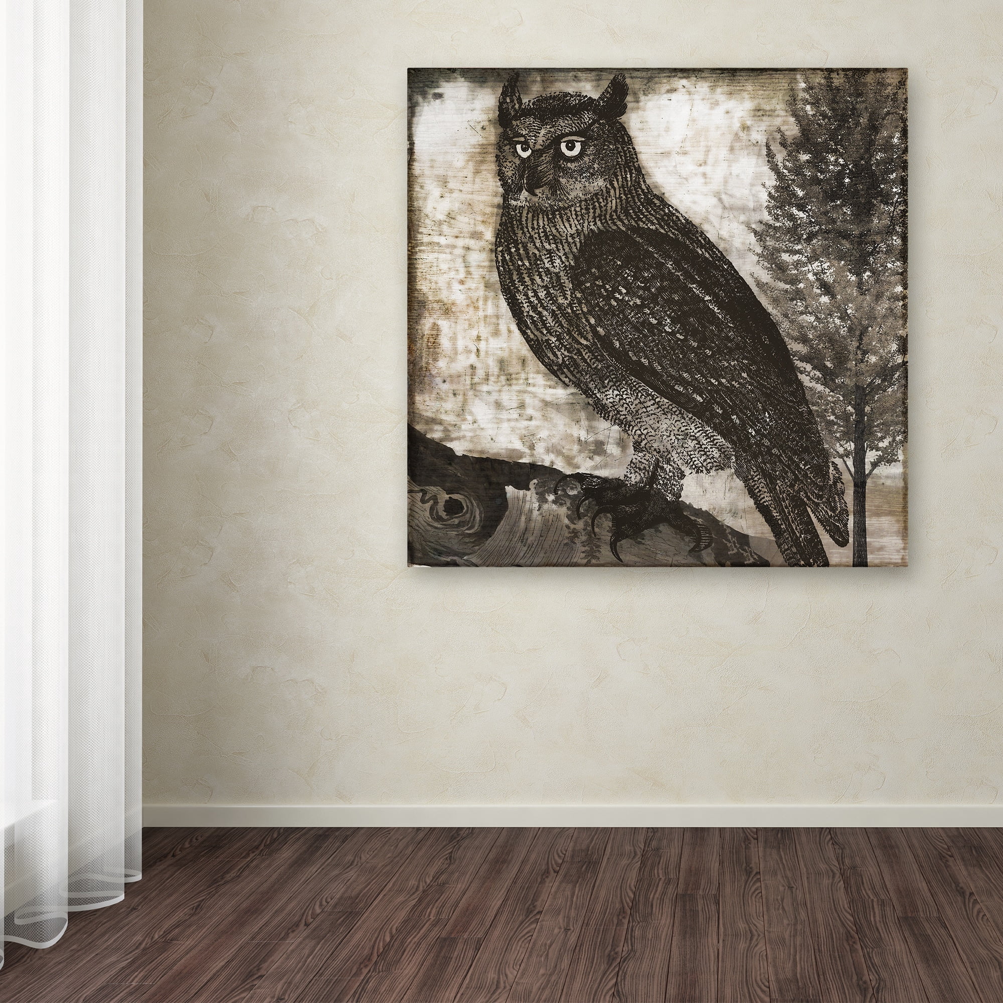 Trademark Fine Art "Owl 2" Canvas Art by Color Bakery