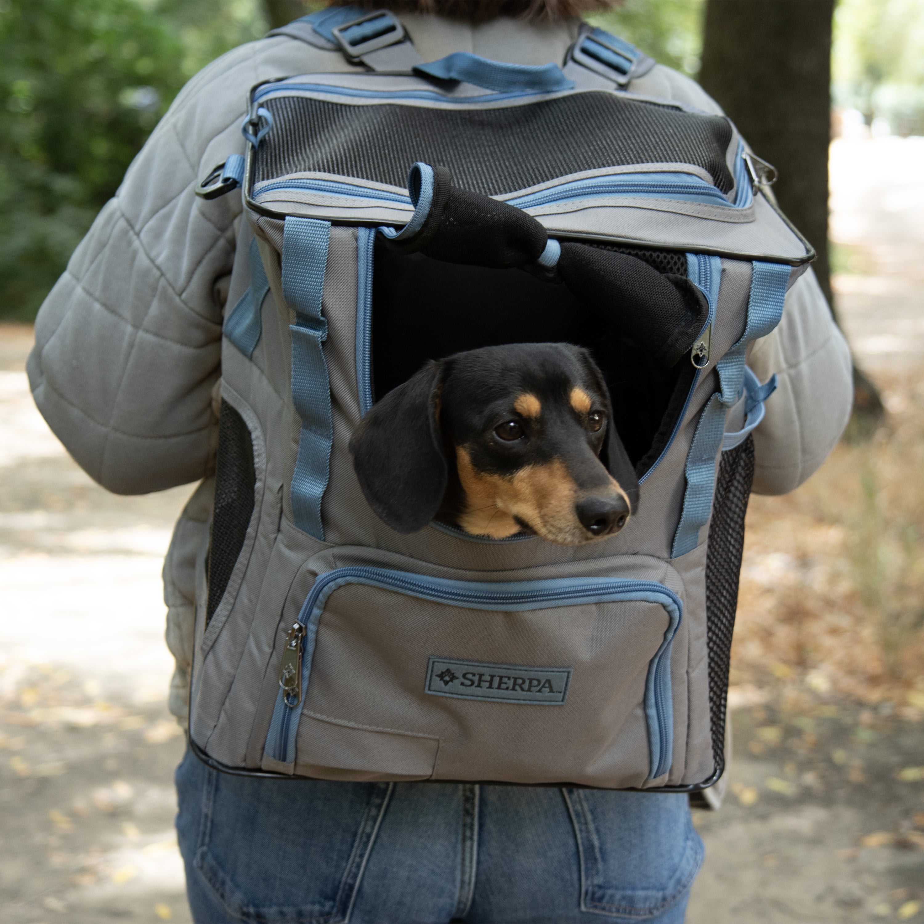 Sherpa Trek Tote 2-in-1 Pet Backpack & Tote for Cats & Dogs - Gray, Medium