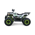 thumbnail image 3 of Tao Motor Raptor 200 Sport VTT pour Adulte (Assemblage Requis), Jouet à Chevaucher 4 Temps à Essence 169 Cc, Charge Max 330 Lb, Blanc, 3 of 4