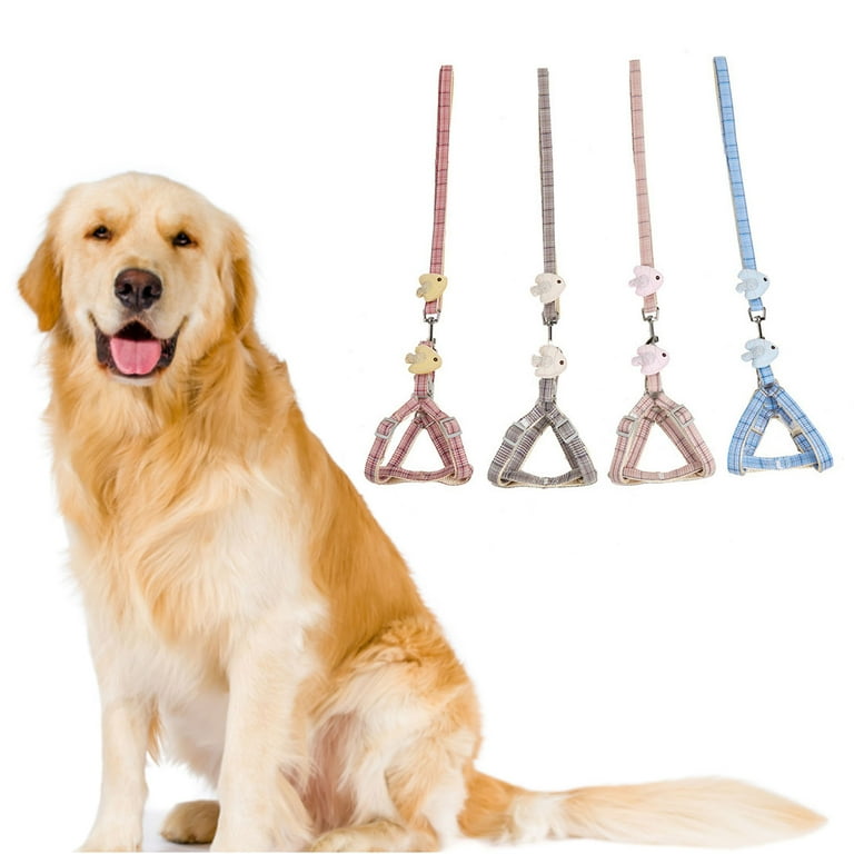 Dog leash cheap cute