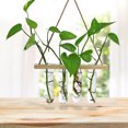 thumbnail image 2 of Test Tube Vase Flower Pot Hydroponic Plants Pots Creative Wall Hanging Terrariums Stand Bud Home Wooden Glass Planter, 2 of 10