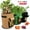 Black, variant on SENRISE Garden Bag Vegetable Grow Bag for Seedlings and Seeds Growing Nonwoven Cloth 5-10 Gallons