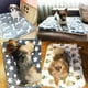 thumbnail image 5 of Pet Sleeping Mat Warm Dog Bed ShopWise LLC Round, 5 of 39