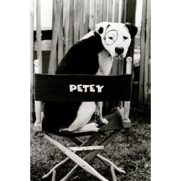 Little Rascals Petey Poster 16x24 Poster Medium Art Poster 16x24 Unframed, Age: Adults, Rectangle Best Posters