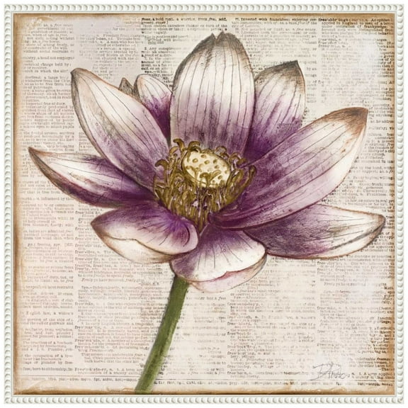 Amanti Art Defined Lotus Flower II Framed Canvas Wall Art Print