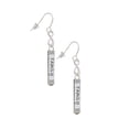 thumbnail image 3 of Delight Jewelry Family Bar Silver tone Infinity French Earrings, 3 of 4