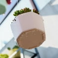 thumbnail image 3 of Fatty Farmer 1 piece plastic lazy self suction hanging basket pot hanging green hanging flowerpot hydroponic vessel hanging basket pot extra large: 26.5 * 11.5cm, 3 of 4