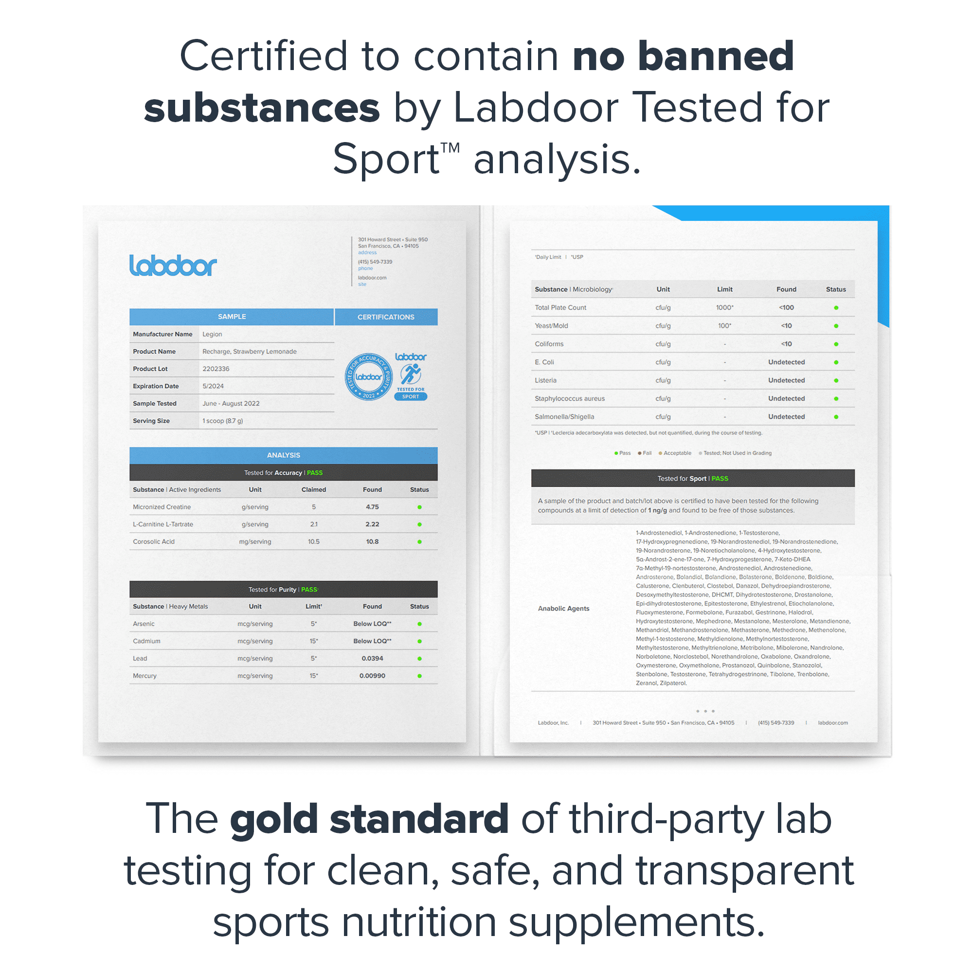 Buy Legion Recharge Post Workout with Creatine Monohydrate, Fruit Punch