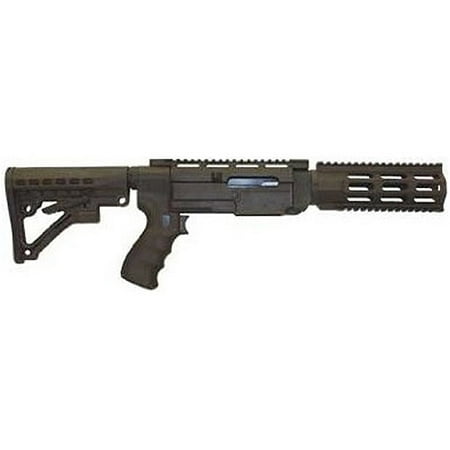 Stock options for ruger 10/22