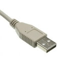 thumbnail image 3 of Cable Wholesale 10U2-02103E USB 2.0 Extension Cable, Type A Male to Type A Female - 3 ft., 3 of 4