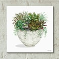 thumbnail image 6 of Epic Art 'White Wood Succulent III' by Cindy Jacobs, Acrylic Glass Wall Art, 12"x12", 6 of 8