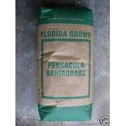 Pensacola Bahia Grass Seed (Raw) - 50 Lbs.