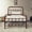 Bronze, variant on Golden Gate Beds Vintage Wrought Iron Bed Frame with Classic Metal Platform Base, Headboard and Footboard, No Box Spring Needed, Easy Assembly, Mattress Foundation, Sleek Silver Finish - Twin Size
