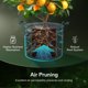 thumbnail image 4 of Grow Bags VIVOSUN, paquete de 10 unidades, 37,85 L, tela reforzada para macetas, 4 of 7