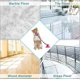 thumbnail image 5 of Juguete para perros con ventosa, cepillo de dientes para perros, juguete para masticar Molar para mascotas, regalo de juguete para masticar con cepillo de dientes para perros, 5 of 5
