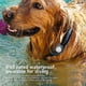 thumbnail image 5 of For Air Tag for Luggage, Keys, Bags, Dog Pet Collar,Wear- Anti-Scratch Protective Air Tag Holder Cas, 5 of 5